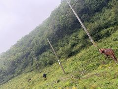 -关山草原