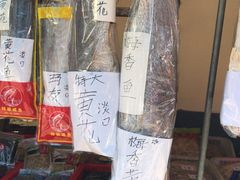 -大湾区中央湿地公园-十九涌