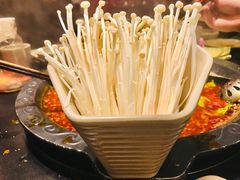-舒家大院老火锅(台江路店)