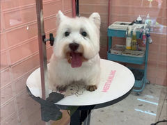 -FAELING PETS美天灵宠物(合生汇店)