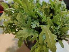-福合埕牛肉丸(福平路店)