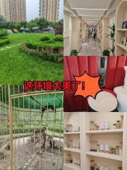 -宝馨月月子中心(友谊医院店)