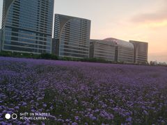 -印象餐厅(杭州国际博览中心北辰大酒店)