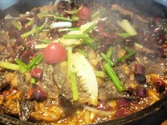 -老板恋上鱼(恒隆广场店)