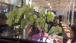 -东方麒麟·潘多拉SALON