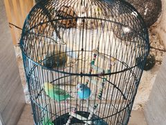 -云中漫步·足疗养生会馆(金开店)