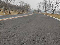-羊山湖公园