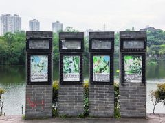 -重庆彩云湖湿地公园