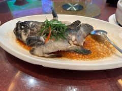 -绿岛国际酒店·海鲜酒楼(八七路店)