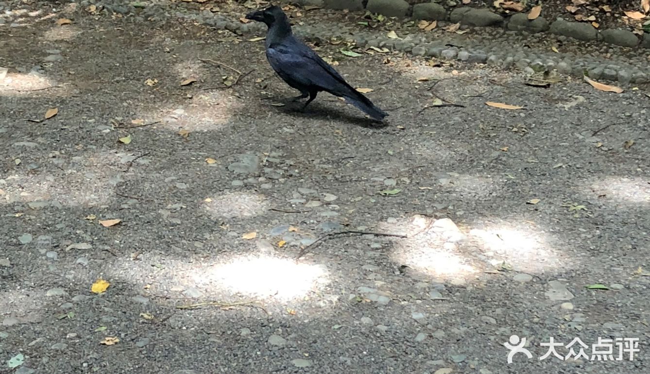 那个水池的水貌似可以直接饮用