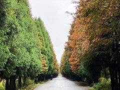 -山王坪喀斯特国家生态公园