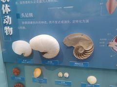 -国家自然博物馆