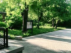 -红楼梦邮局
