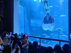 -太平洋海底世界