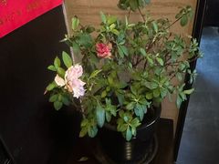 -升艾堂·经络·艾灸·气血(成山路店)