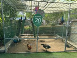 -萌宠亲子动物乐园(槐房万达店)