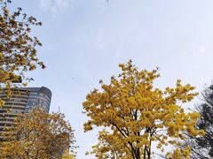 -洲头咀公园