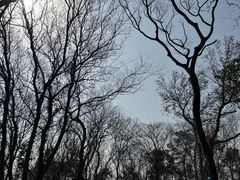 -虞山风景区