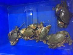-芽庄老成都川菜馆