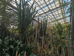 -呀路古热带植物园