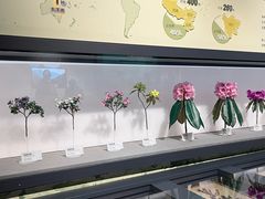 -四川大学博物馆