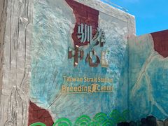 -广东惠东海龟国家级自然保护区