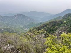-大岭沟猕猴桃谷风景区