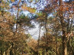-虞山风景区