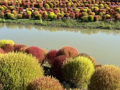 -花开海上生态园