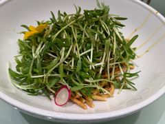 -蜀厨小匠·民间川菜(犀浦店)