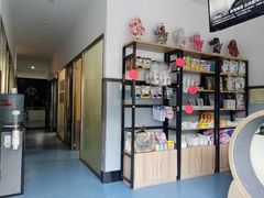 -伟伟宠物医院·瑞派猫友好医院·猫科(光谷店)