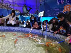 -烟台海昌鲸鲨海洋公园