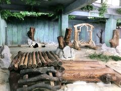 -海南热带野生动植物园