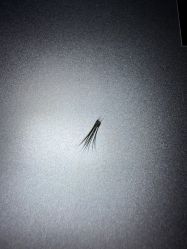 点击看大图 -初心はつ こころ日式美甲美睫沙龙