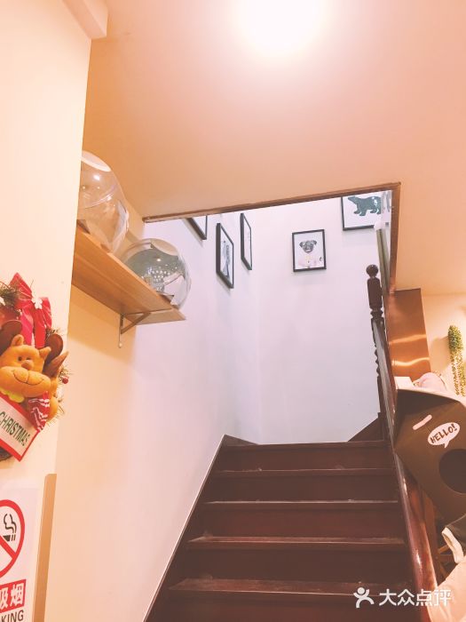 多卡布奇宠物生活馆(上林世家店)图片