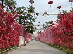 -北京凤凰岭