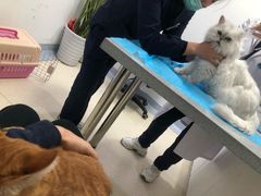-萌兽医馆·绝育·24小时内科·宠物医院(德胜店)