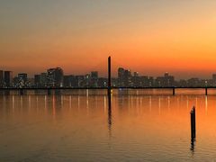 -城市阳台