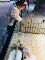 -酷嗒动物文化乐园(cutezoo西溪乐天城店)