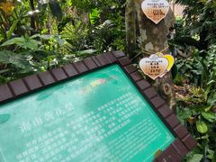 -呀诺达热带雨林