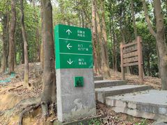 -火炉山森林公园