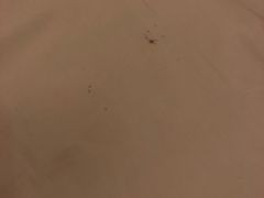 -广州达镖国际酒店