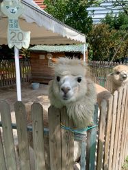 -萌宠亲子动物乐园(槐房万达店)