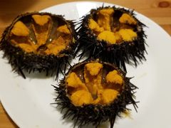 -海胆小馆(东北水饺·春柳店)