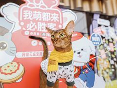 -必胜客(江东万达店)