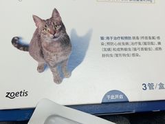 -百年义利(幸福大街店)