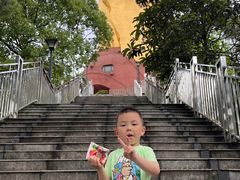 -大金鹰园