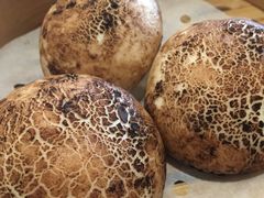 草原蘑菇包-凯逸轩·匠心粤菜(中城名仕汇店)