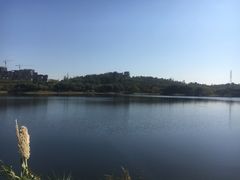 -广东花都湖国家湿地公园
