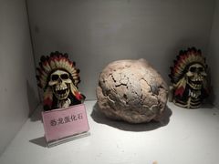 -洛阳龙门海洋馆